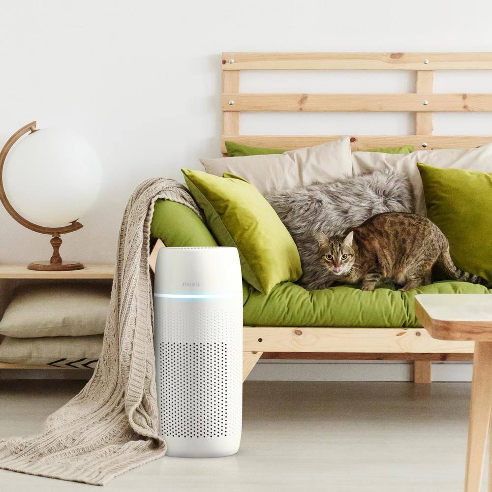 HoMedics PetPlus Large Room Air Purifier with UV-C Technology: Electric, 3 Settings, CARB Certified, 100-300 sq. ft.