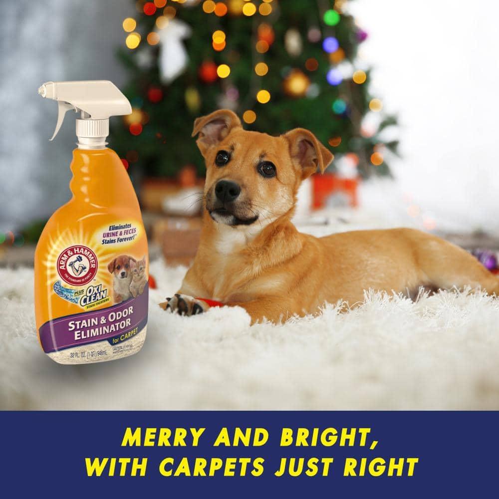 Arm & Hammer Plus Oxiclean Pet Stain & Odor Eliminator for Carpet - 32oz
