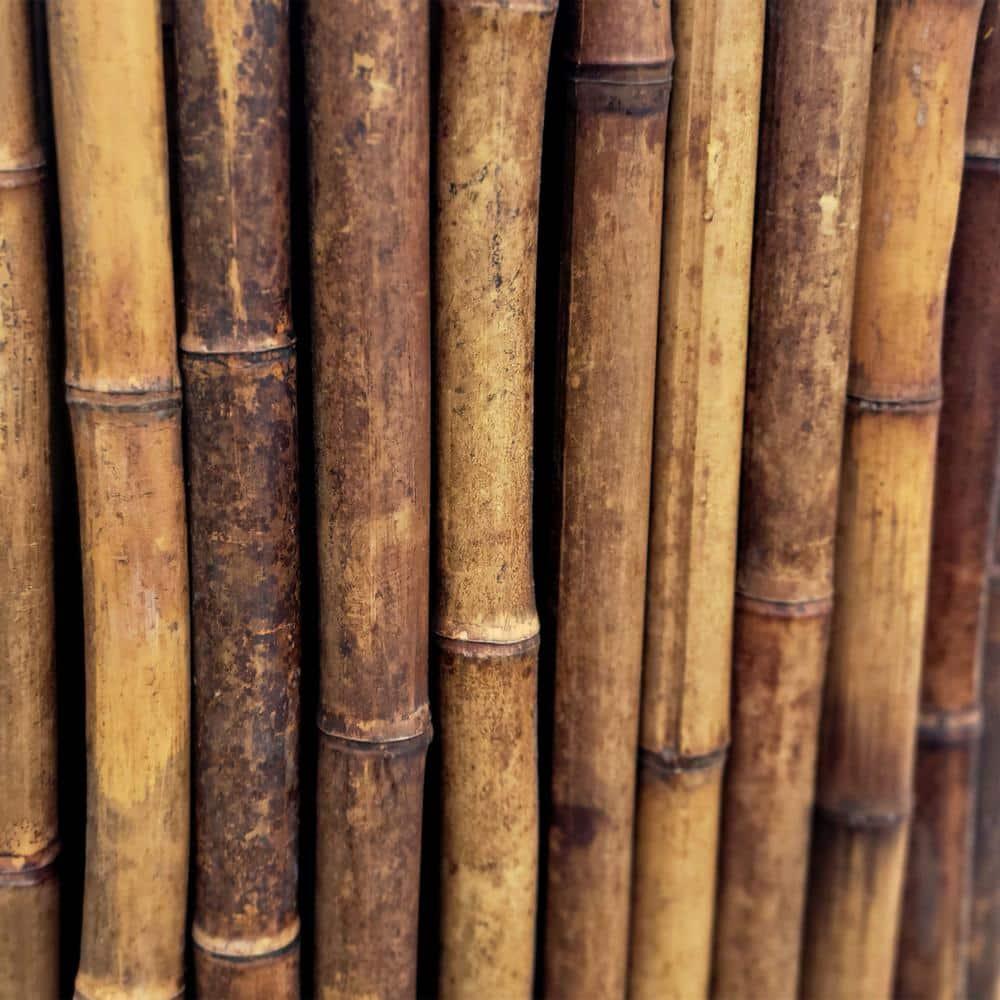 Backyard X-Scapes Bamboo Fence Panel Outdoor Privacy Screen