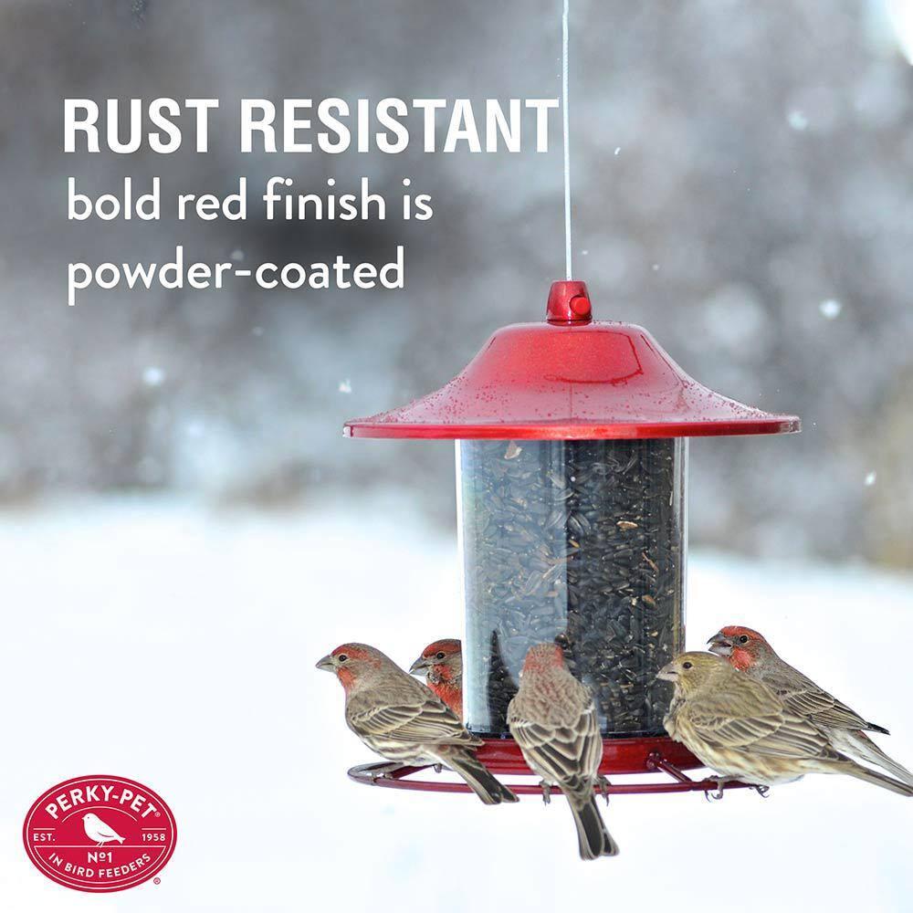 Perky-Pet Wild Bird 2 lb Metal/Plastic Panorama Bird Feeder 1 ports Model No 312R (Case of 2)