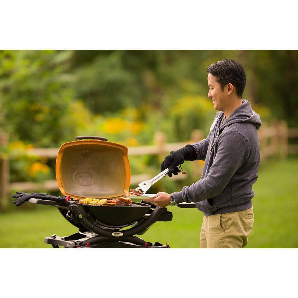 Weber Q1200 Gas Grill, Titanium
