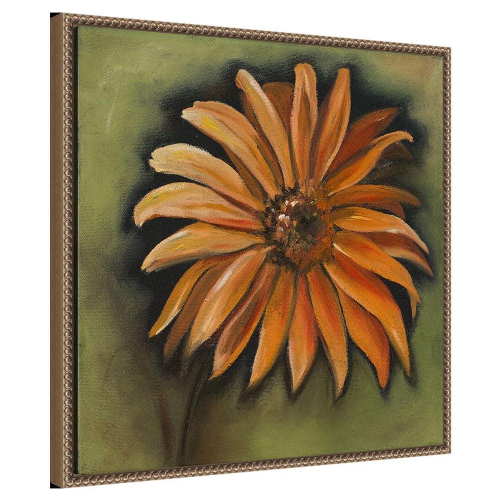 Amanti Art Daisy Collections III by Nelly Arenas Canvas Wall Art Print Framed 22 x 22-in.