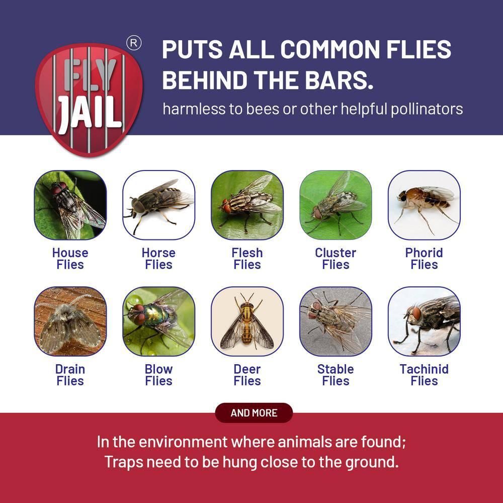 FLY JAIL Large Bags Disposable Outdoor Fly Trap Pre-Baited High-Capacity Fly Catcher 2 Pack