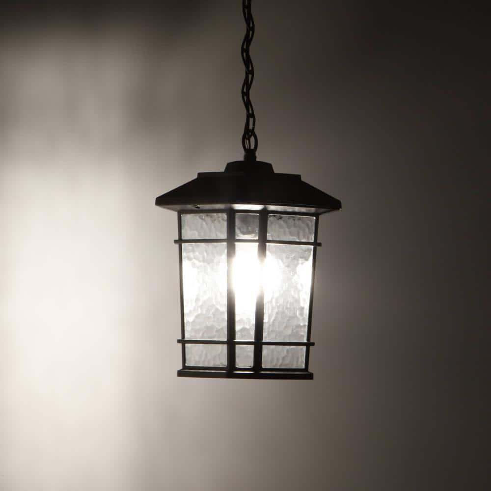 Williams 1- Light Black 14" H Glass Outdoor Hanging Lantern (Bulb Included)