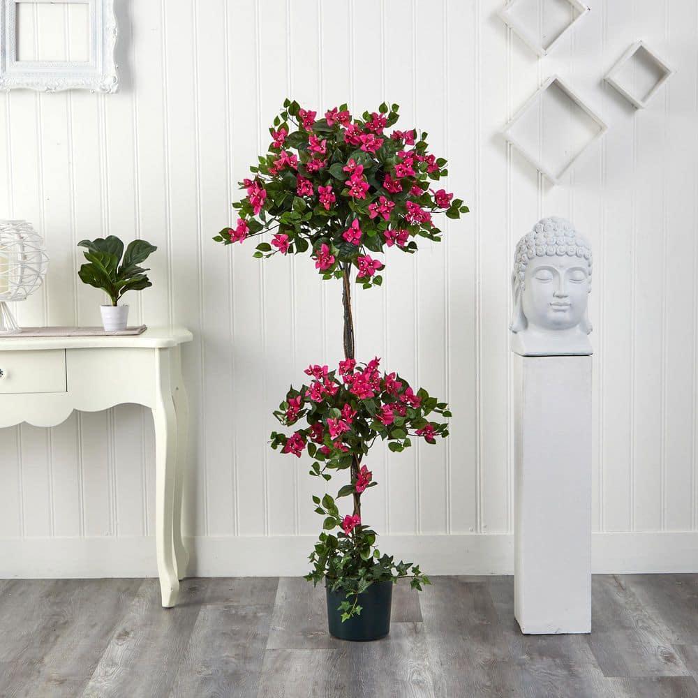Primrue 5ft. Mini Bougainvillea Topiary