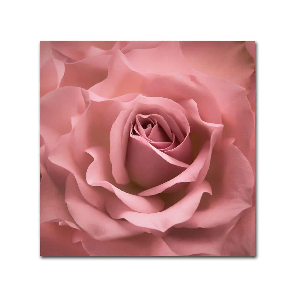 House of Hampton® " Misty Rose Pink Rose " by Cora Niele
