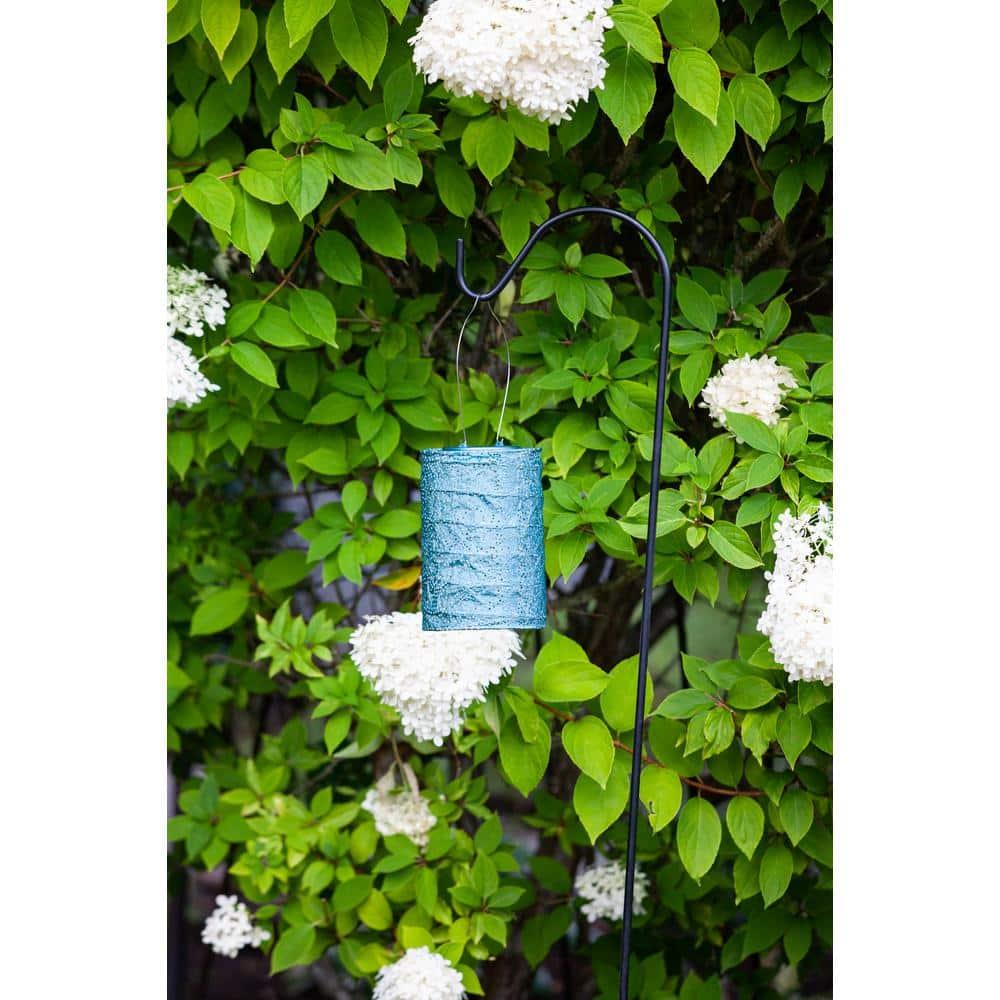 Soji Stella Cylinder Solar Outdoor Lanterns - Set of 2