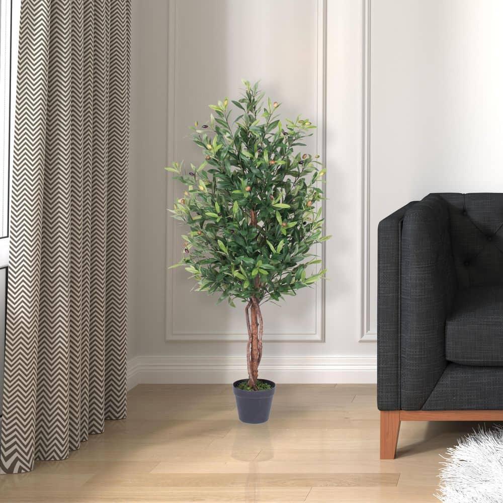 50 in. Green Olive Tree in Pot