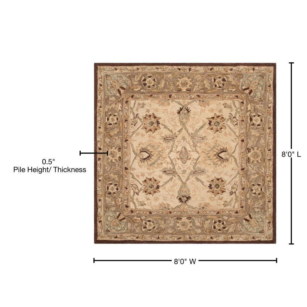 Anatolia AN512 Hand Tufted Indoor Area Rug - Ivory/Brown - 8'x8' - Safavieh