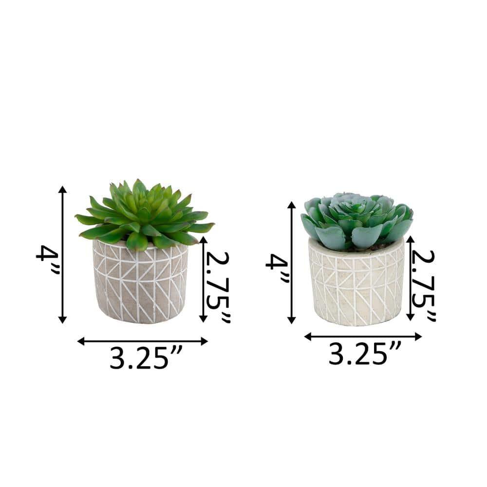 Flora Bunda Mid Century Artificial Plants Cactus Set of 2 Fake Succulent in 3" Cement Diamond line Pot Grey Planter, Potted Plants, for Home Office Decorations C65