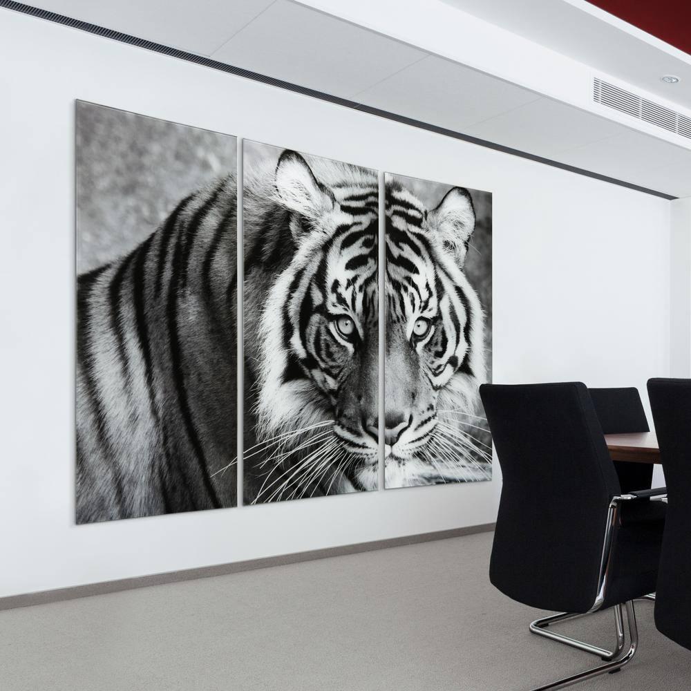 Empire Art Direct " Tiger ABC " 3 - Pieces
