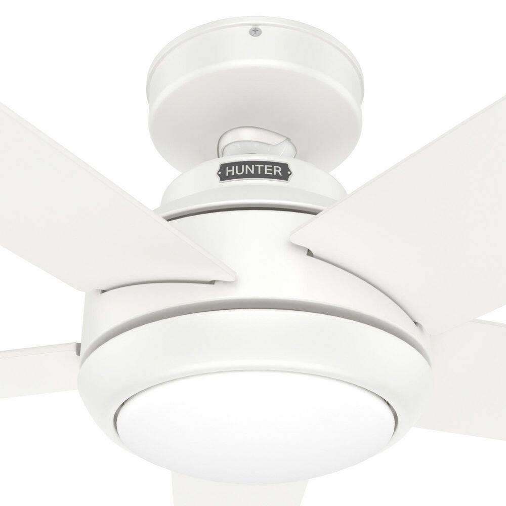 52" Zayden 5 - Blade Ceiling Fan With Lights and Remote