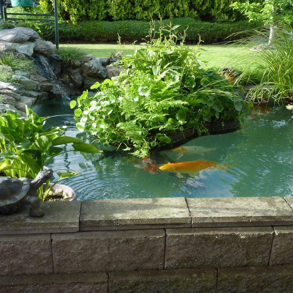 Pond Armor SKU-SKYBLUE-QT-R Pintura Epoxídica Pond Shield No Tóxica 1,5 Cuartos, Azul Cielo
