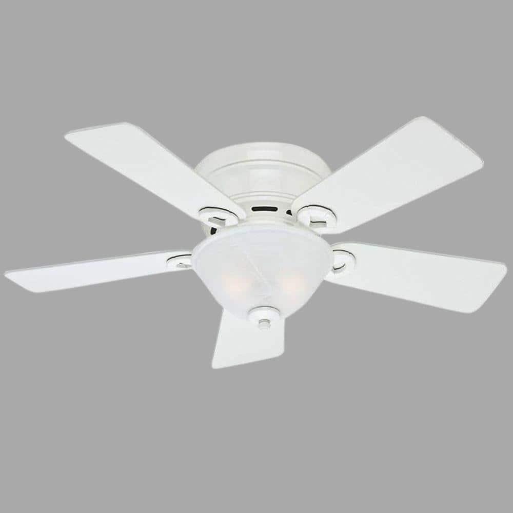 42'' Conroy 5 - Blade Flush Mount Ceiling Fan with Pull Chain and Light Kit Included