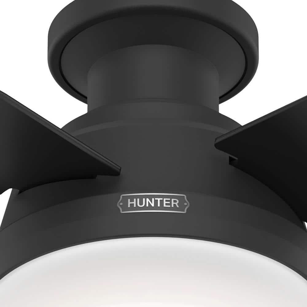 Dempsey Low Profile 44" 4 - Blade Indoor Flush Mount Small Room Ceiling Fan with Lights and Remote