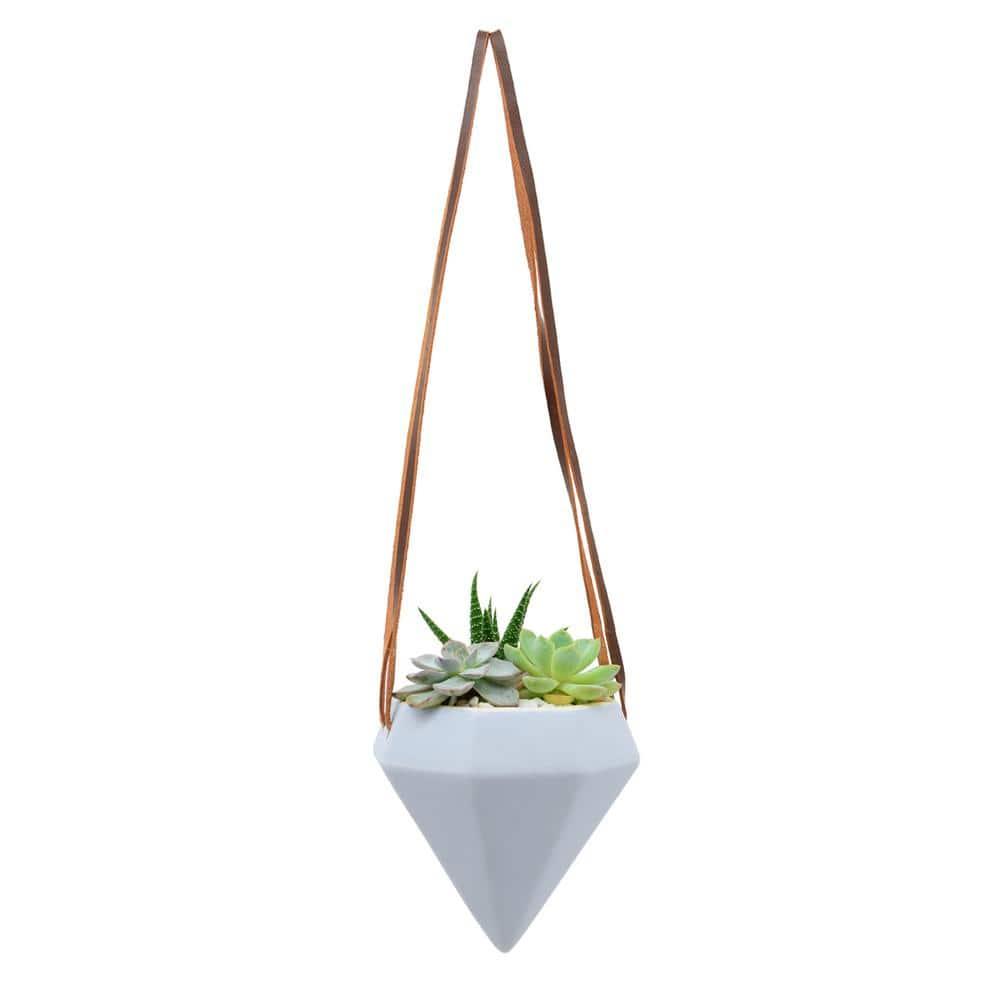 Guilford Ceramic Hanging Planter