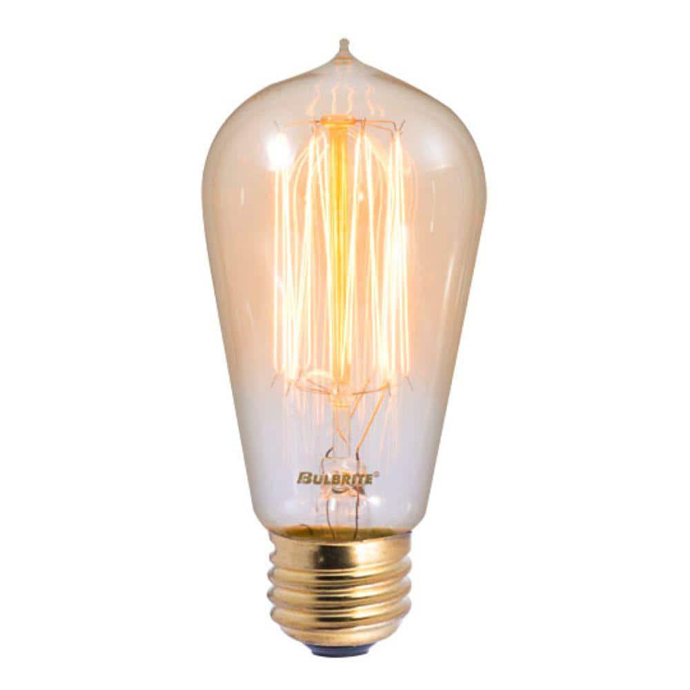 40 Watt Dimmable Nostalgic Edison Squirrel Cage-Style ST18 Light Bulb