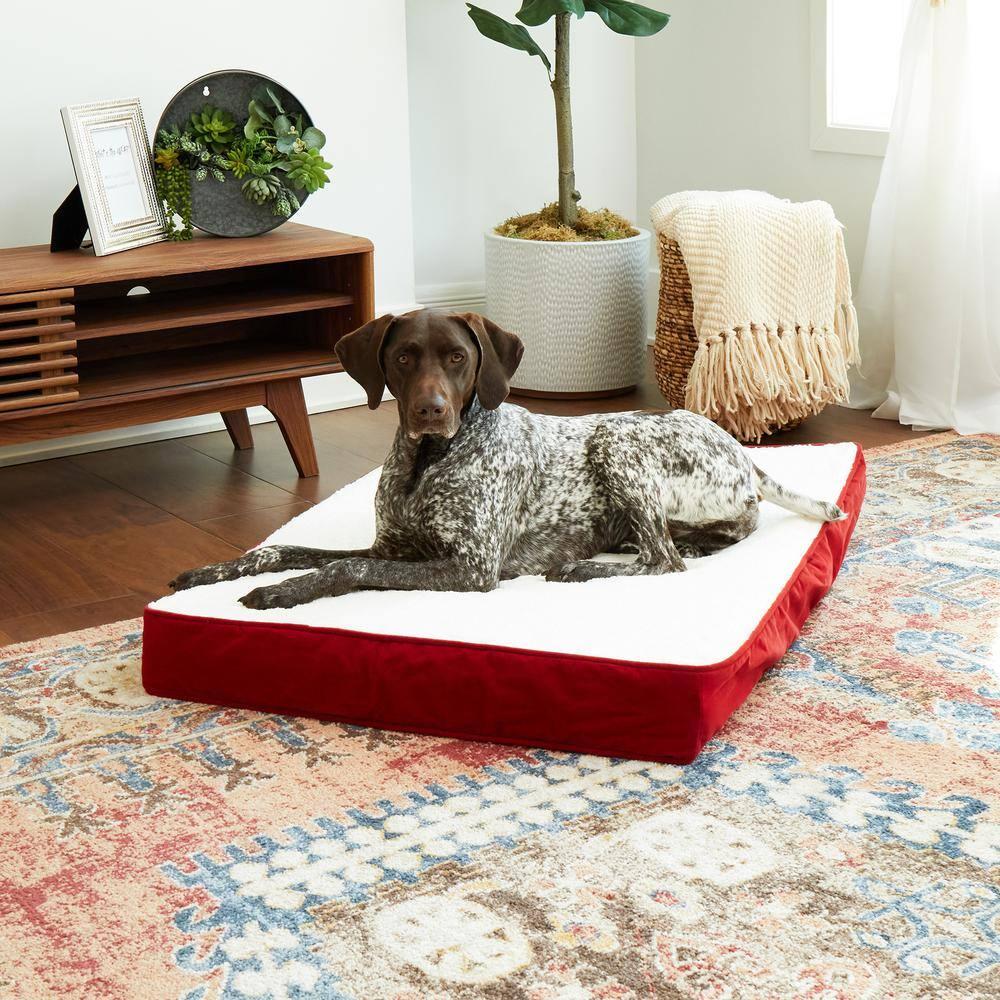 Happy Hounds Oscar Sherpa Orthopedic Dog Bed, Crimson, Medium (42 x 30 in.)