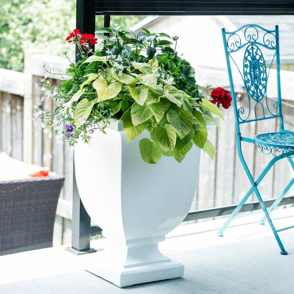 Red Barrel Studio® Arvia Self Water Resin Urn Planter
