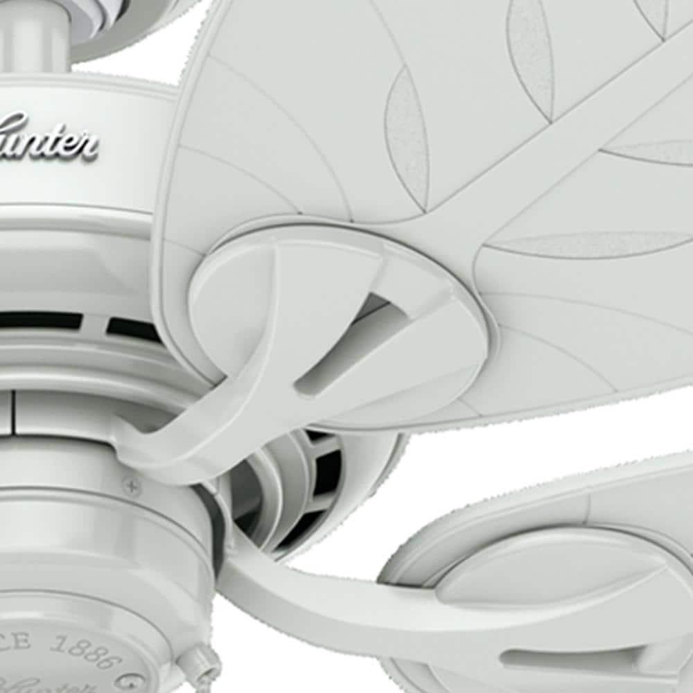 54" Bayview 5 - Blade Outdoor Tropical Leaf Ceiling Fan with Pull Chain