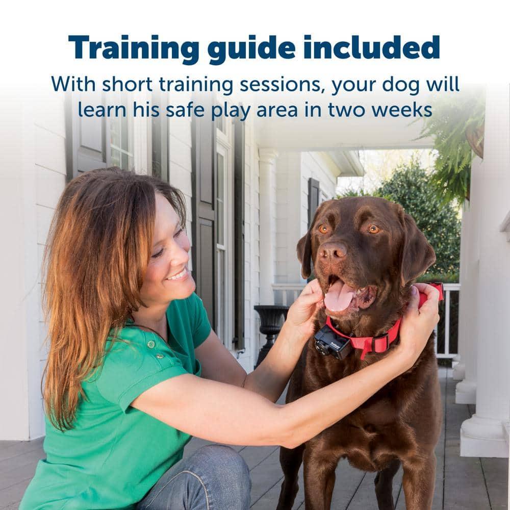PetSafe® Wireless Pet Containment System Receiver Collar