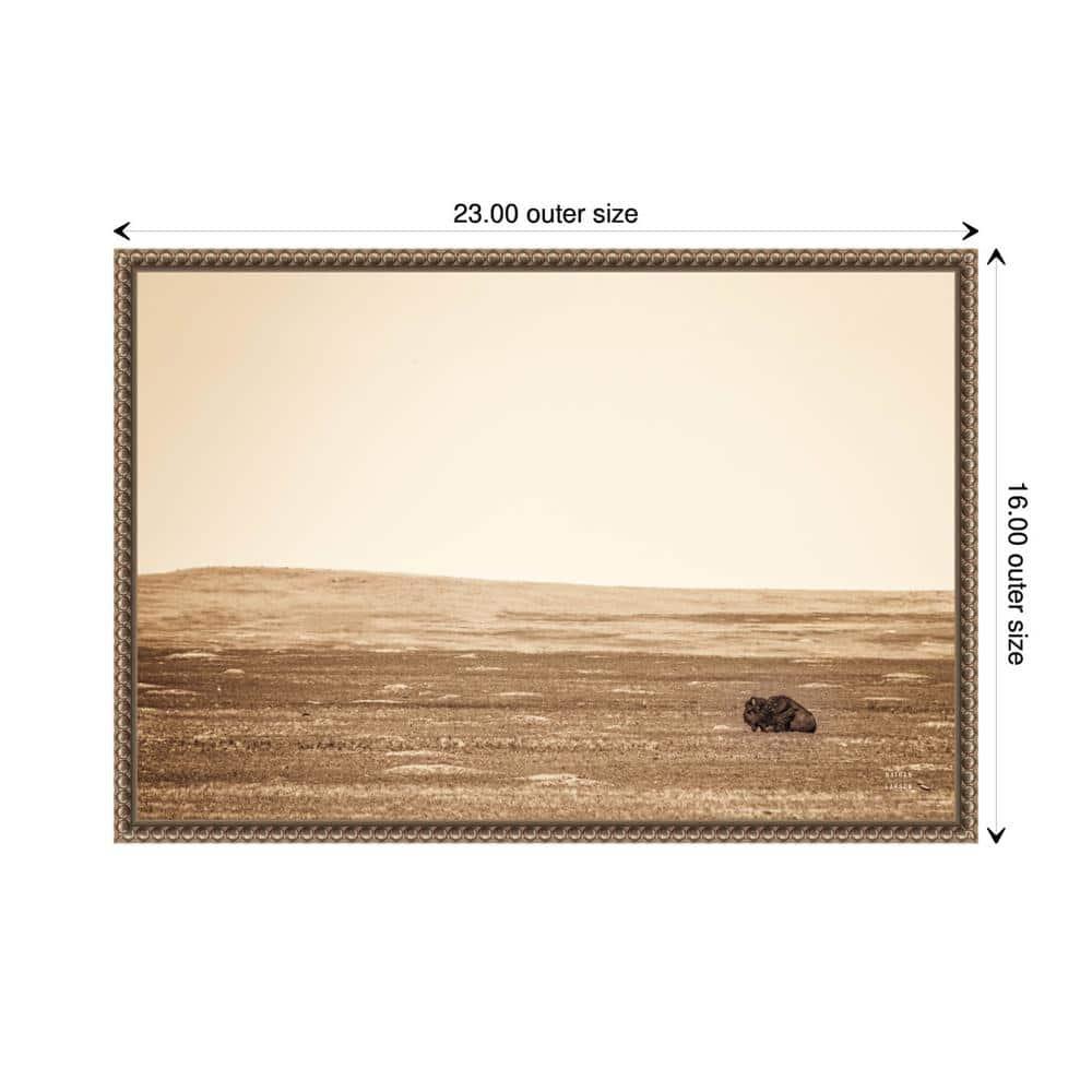 Amanti Art Badlands Bison Sepia by Nathan Larson Canvas Wall Art Print Framed 23 x 16-in.