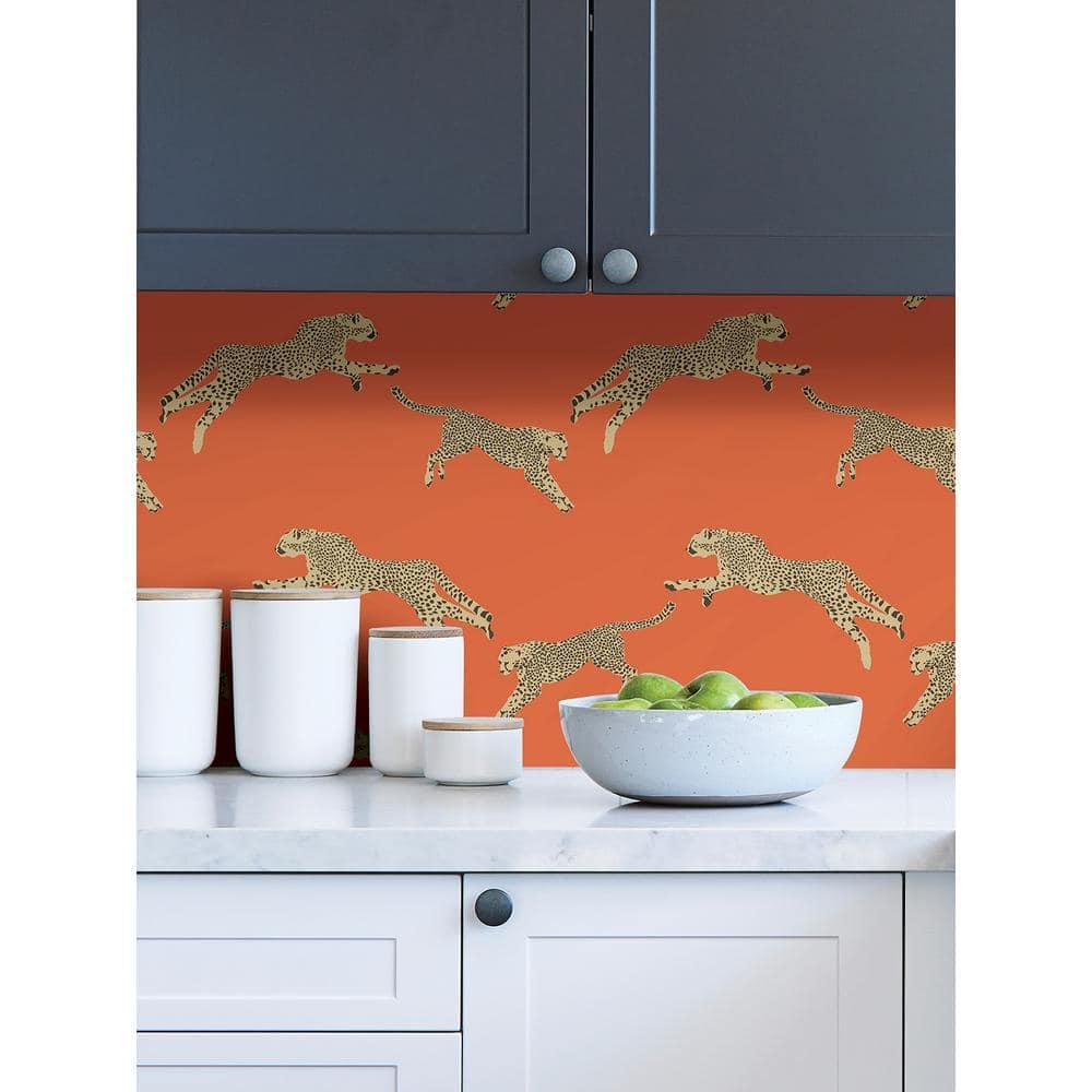 Scalamandre 30.75-sq ft Clementine Vinyl Novelty Self-adhesive Peel and Stick Wallpaper