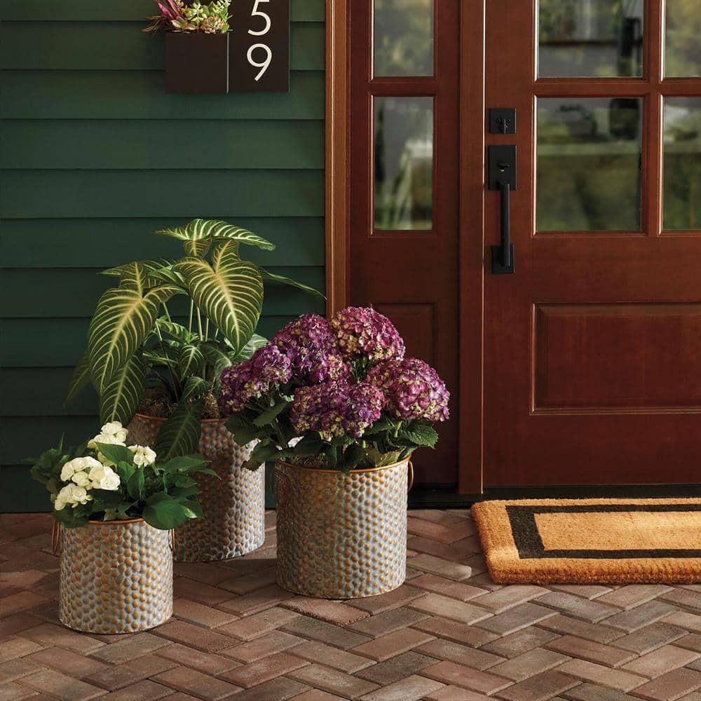 Jewell Doormat