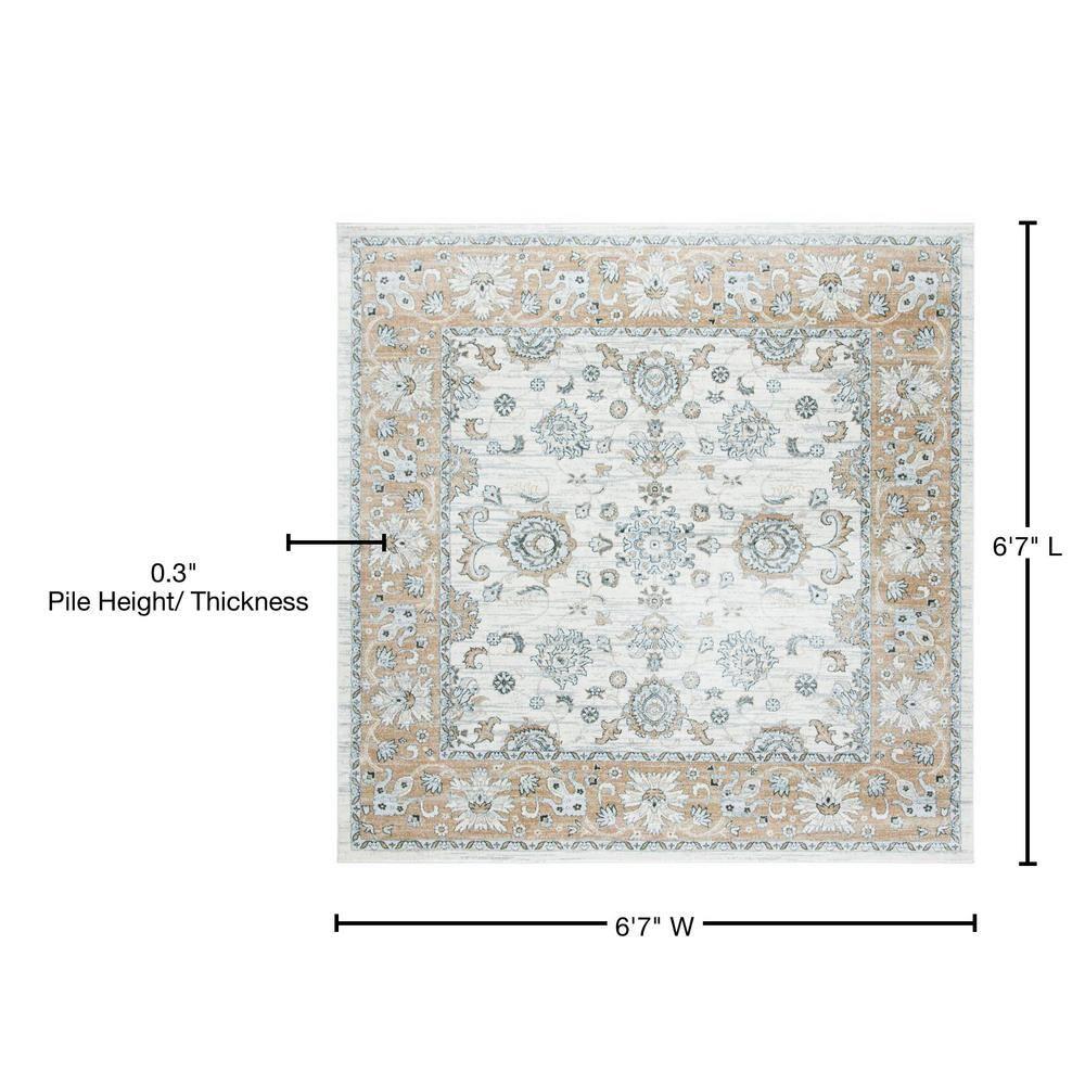 Isabella ISA940 Power Loomed Area Rug - Cream/Beige - 6'7"x6'7" - Safavieh.