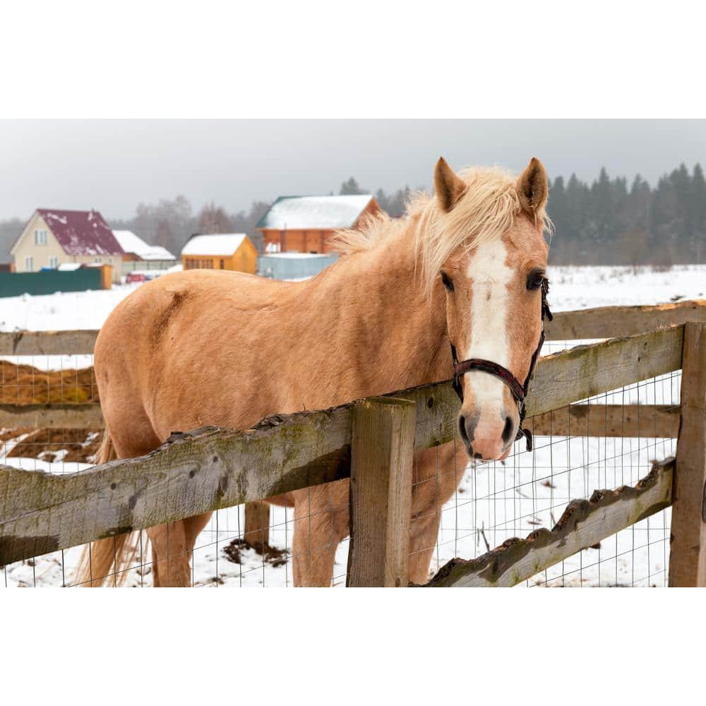 YARDGARD Metal Fencing