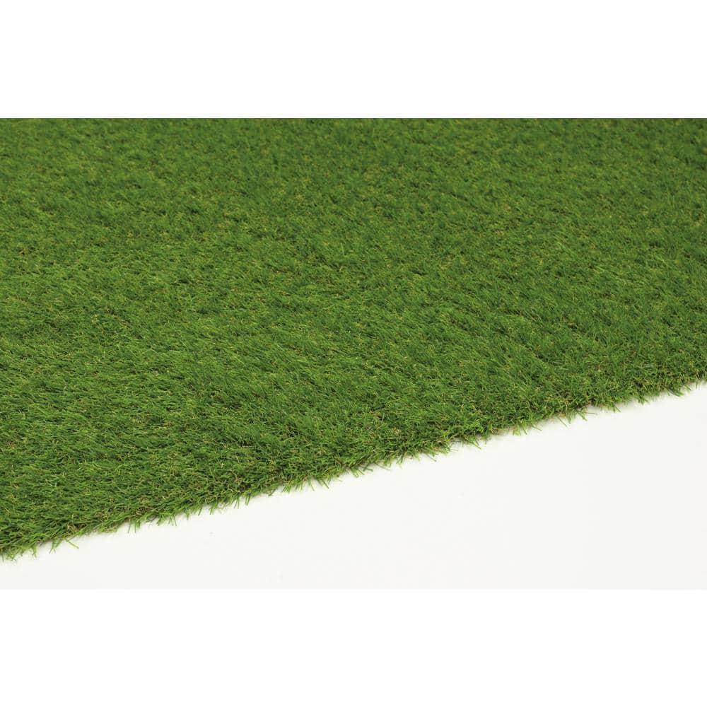 Eider & Ivory™ Thurlos Artificial Grass Synthetic Lawn Indoor Outdoor Area Rug