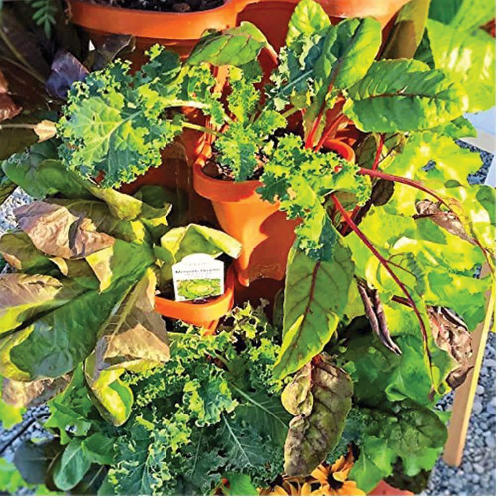 Mr. Stacky 5-Tier Strawberry Planter Pot, 5 Pots