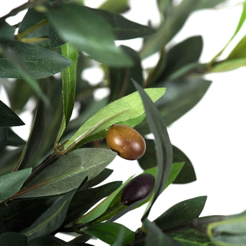 50 in. Green Olive Tree in Pot