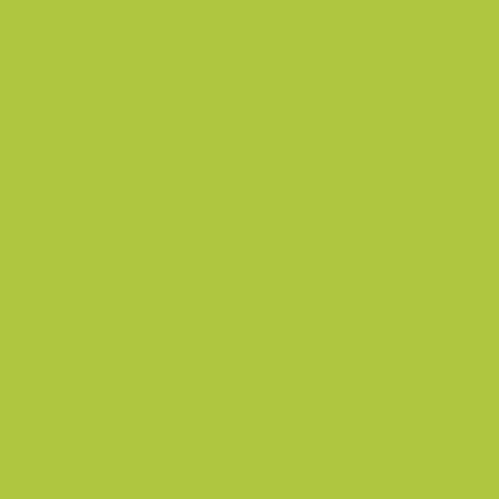 Westin Outdoor 9 Ft Patio Market Umbrella with Tilt & Crank, Lime Green