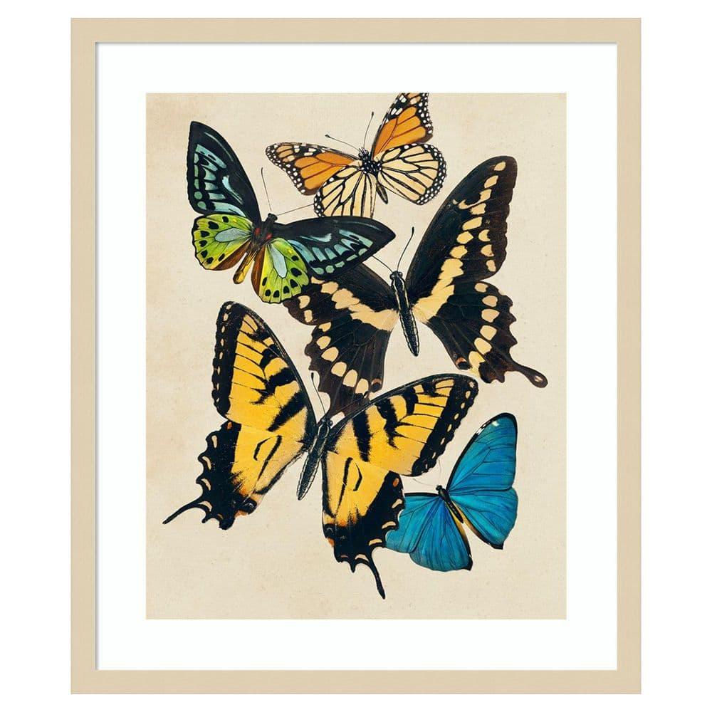 Amanti Art Collaged Butterflies II by Victoria Barnes Wood Framed Wall Art Print
