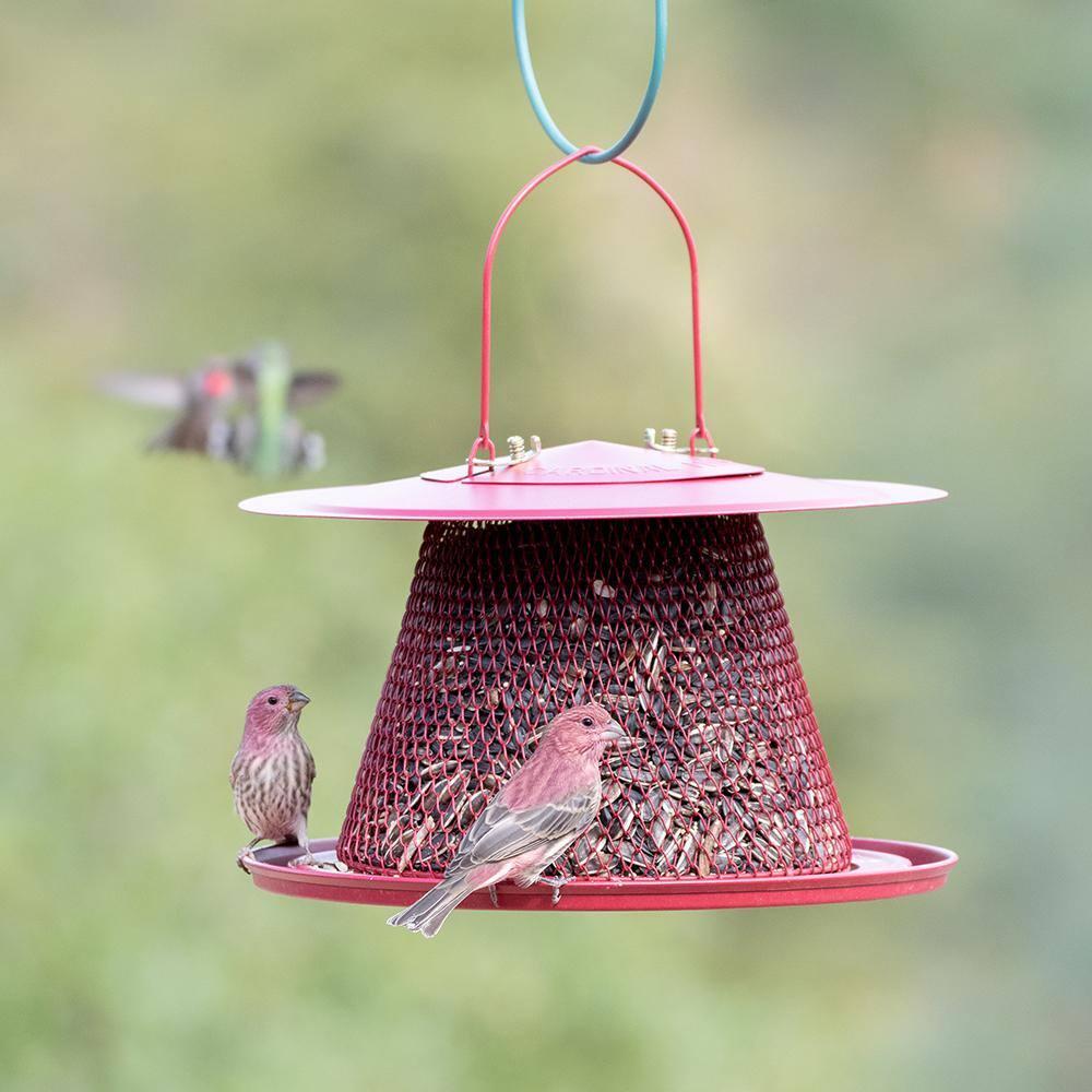 Perky-Pet Red Cardinal Wild Bird Feeder - 2.5 lb Capacity