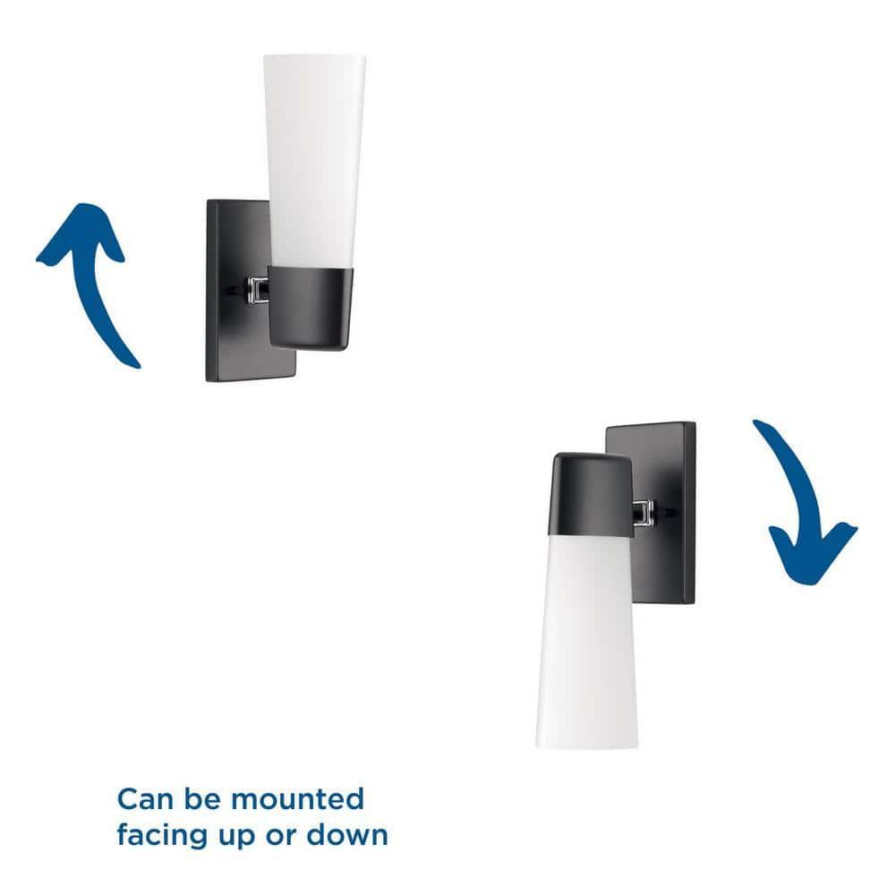 Progress Lighting Zura 1-Light Bath & Vanity Fixture, Zinc, Black, Opal Glass Shade
