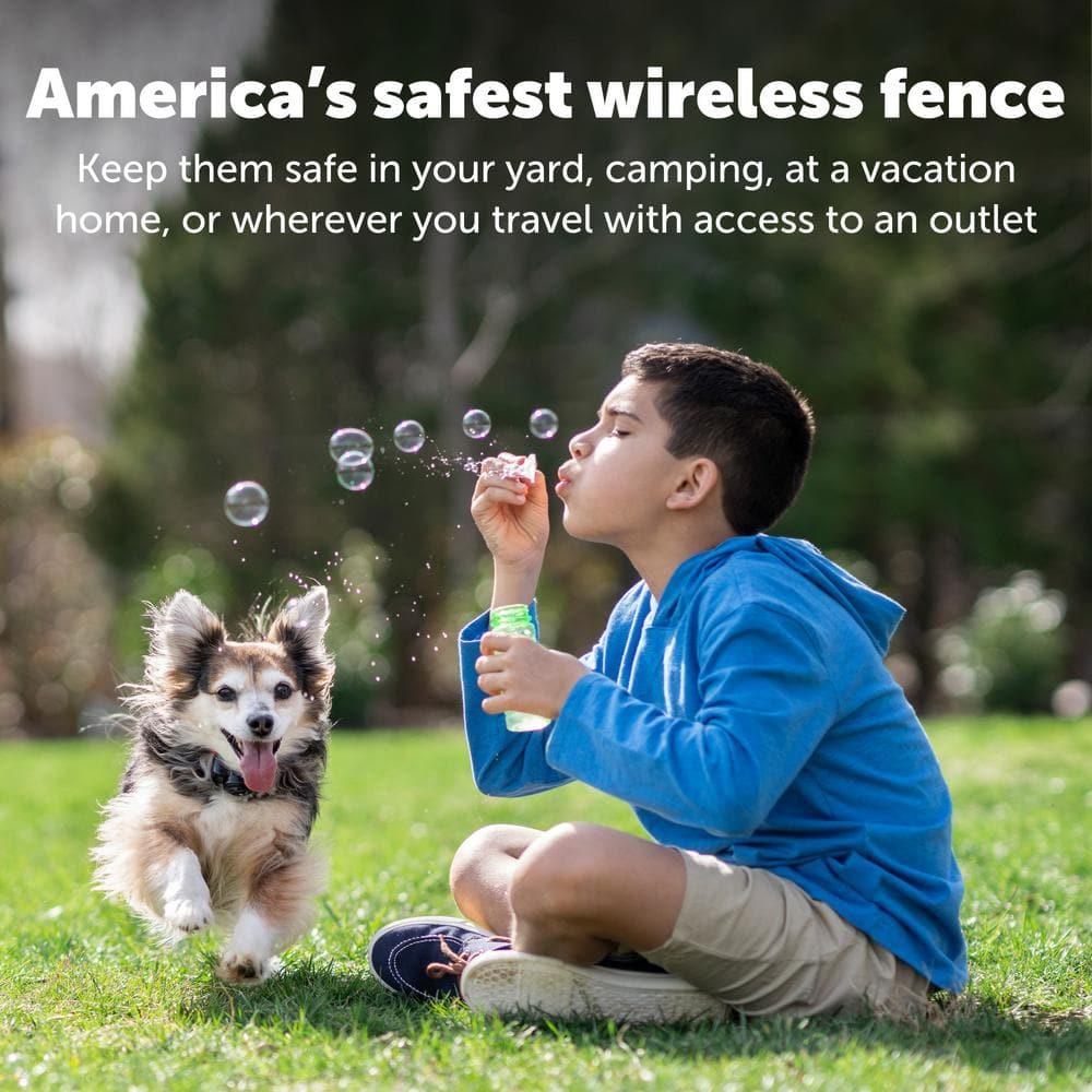 PetSafe® Wireless Pet Containment System Receiver Collar