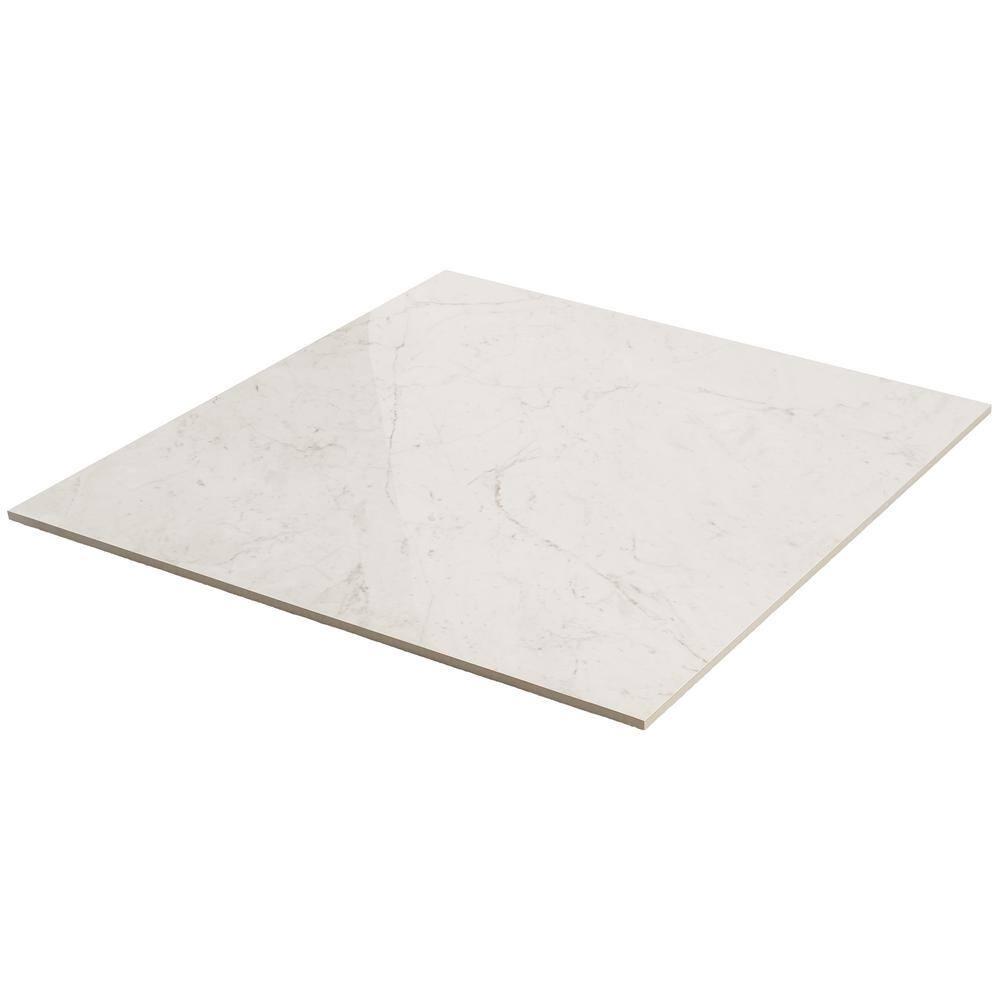24" x 24" Polished Marble Look Porcelain Floor and Wall Tile (15.5 Sq. Ft. / Case)