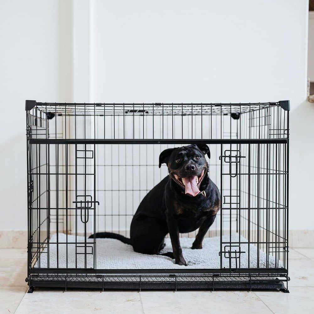 Lucky Dog Sliding Door Crates Pet Crate with Sliding Double Door