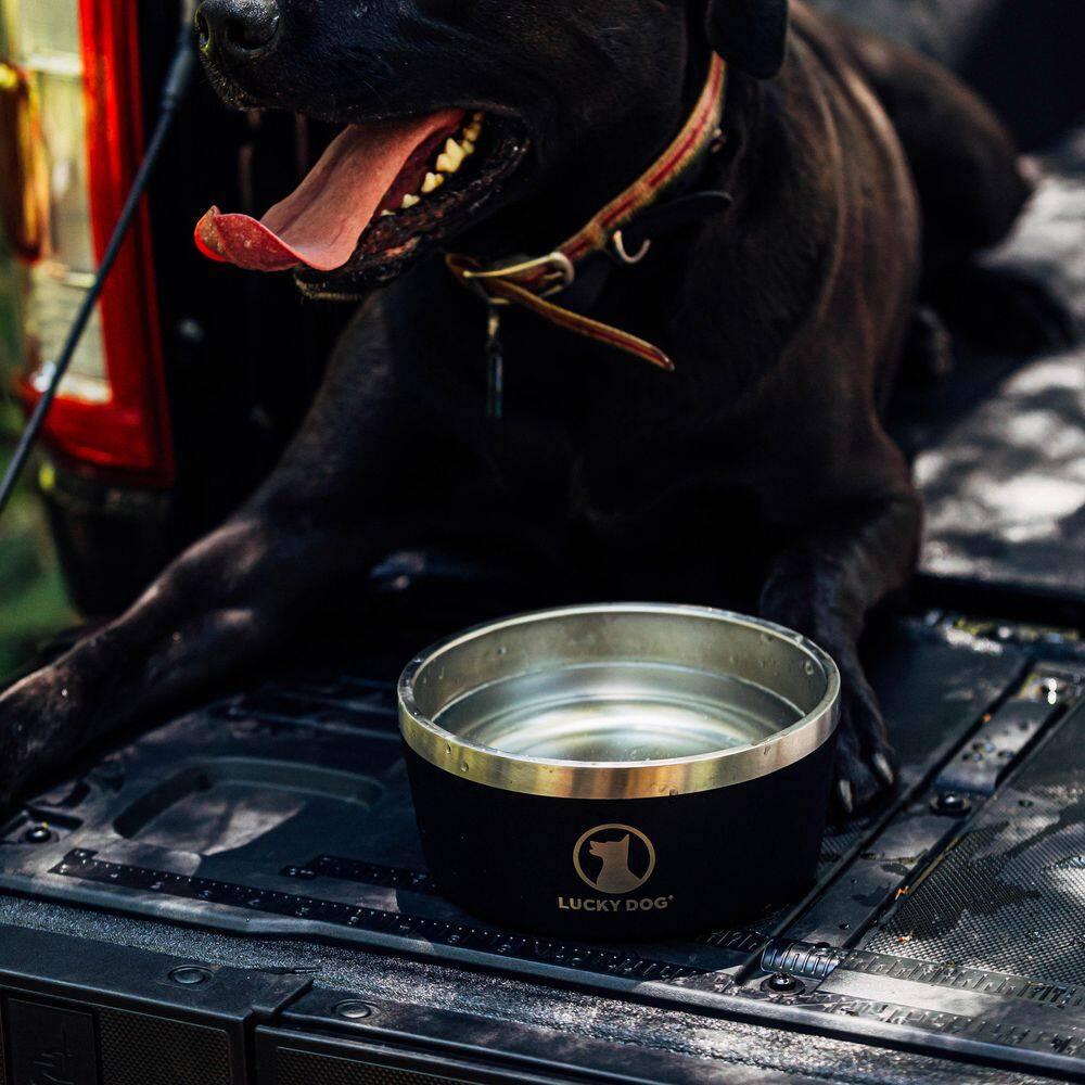 Lucky Dog Lucky Dog INDULGE 8 Double Wall Stainless Steel Dog Bowl