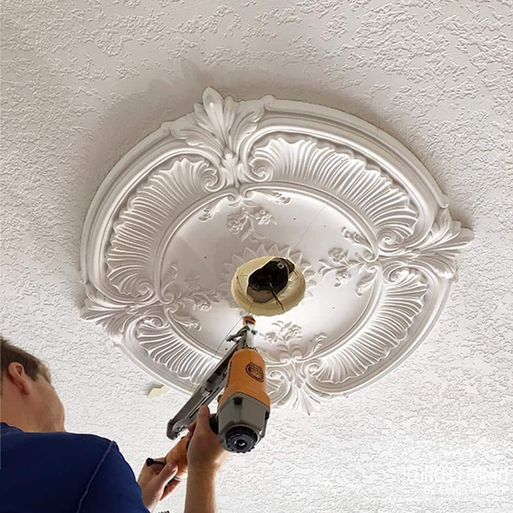 Rose and Ribbon Ceiling Medallion