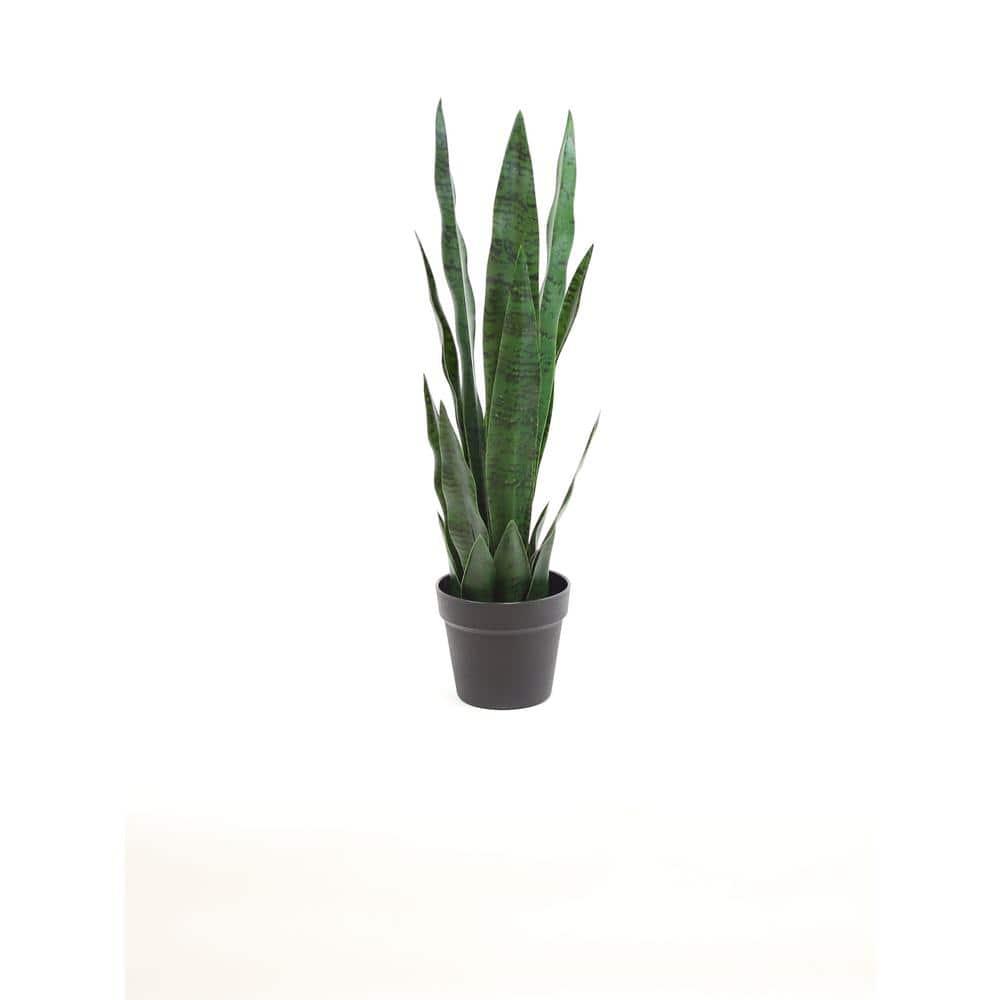 Primrue Faux Snake Plant (Sansevieria) Tree in Pot Liner