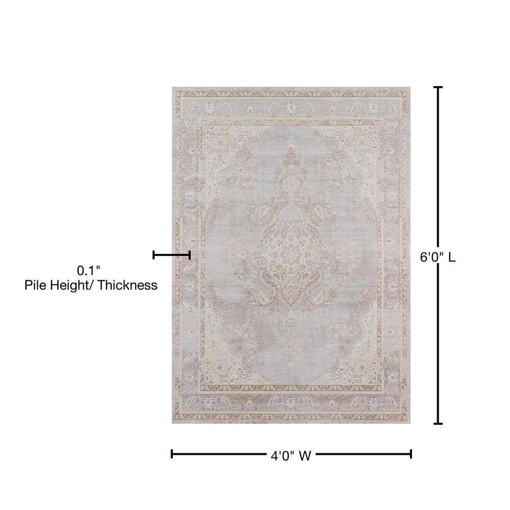 4'x6' Medallion Loomed Area Rug Gray - Momeni