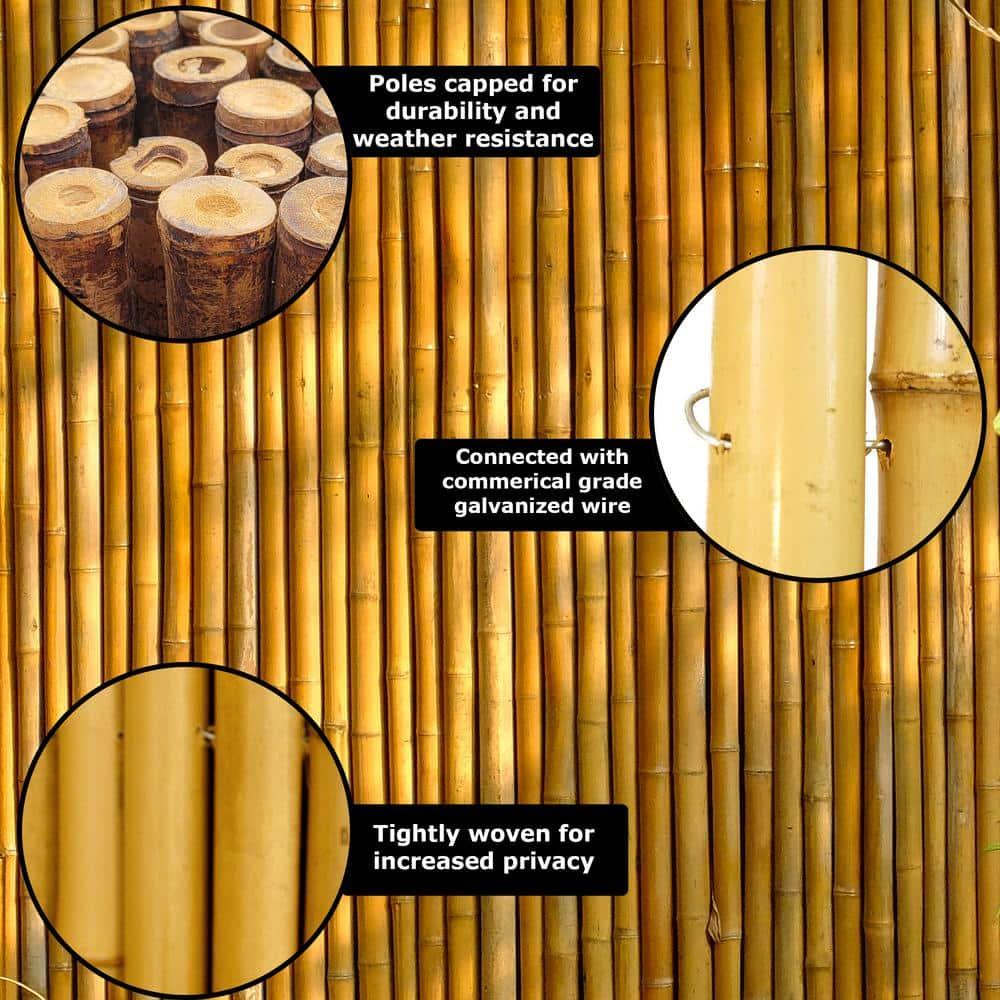 Backyard X-Scapes Bamboo Fence Panel Outdoor Privacy Screen