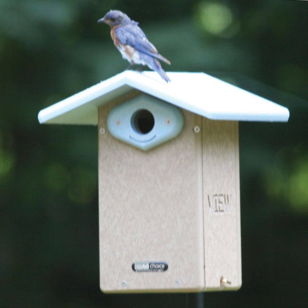 Birds Choice 11" Silver Toupe & Blue Ultimate Bluebird House Recycled Plastic Bird House: Weather-Resistant, No Assembly Required