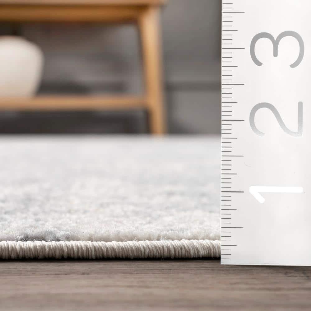 Nuloom 4x6 Justine Vintage Medallion Indoor Area Rug, Grey, Faded Persian Design, Stain Resistant, BedroomLiving Room, Kitchen,