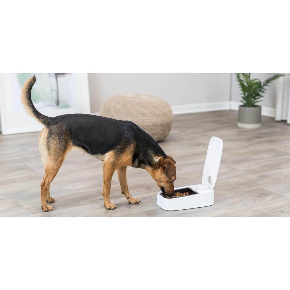TRIXIE TRIXIE TX1 Automatic Food Dispenser, Single Serving, 48-Hour Timer, Battery Operated
