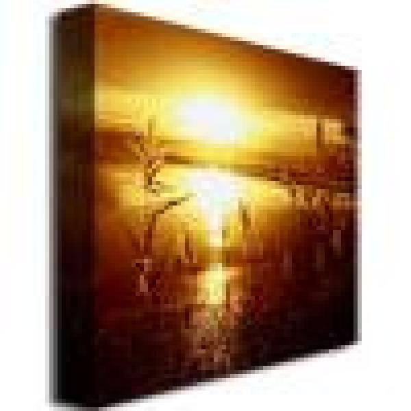 Trademark Fine Art "My Date with the Sun" Canvas Art by Beata Czyzowska Young
