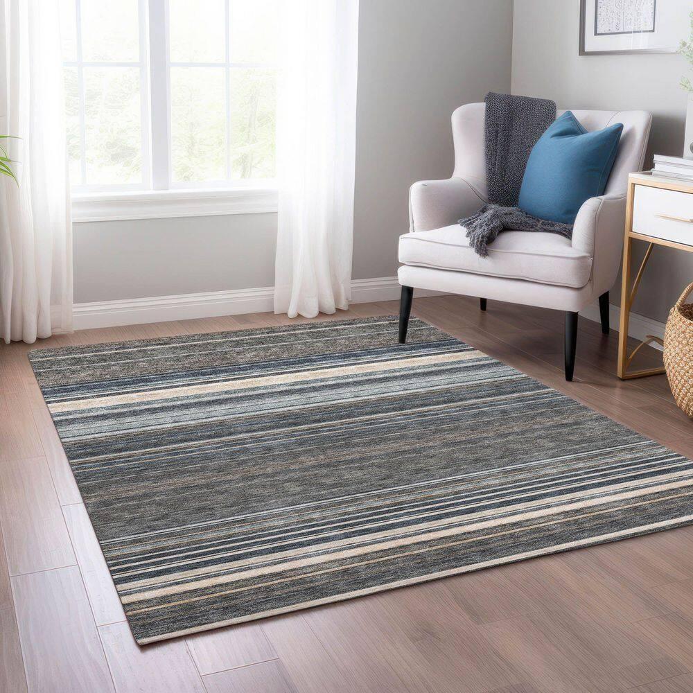 Chayden Washable Striped Indoor / Outdoor Rug